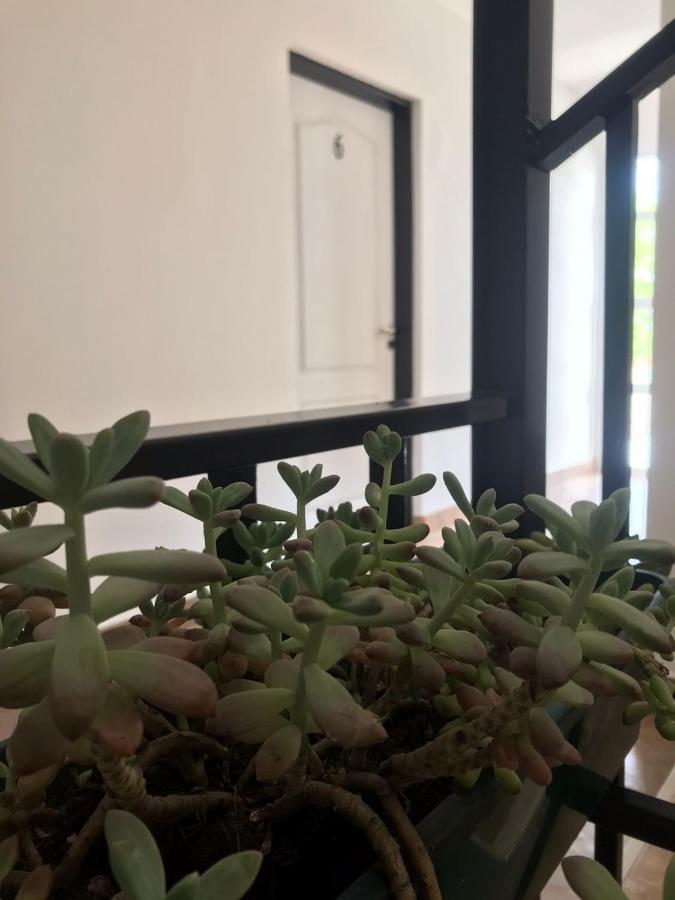 Guest House 살타 외부 사진