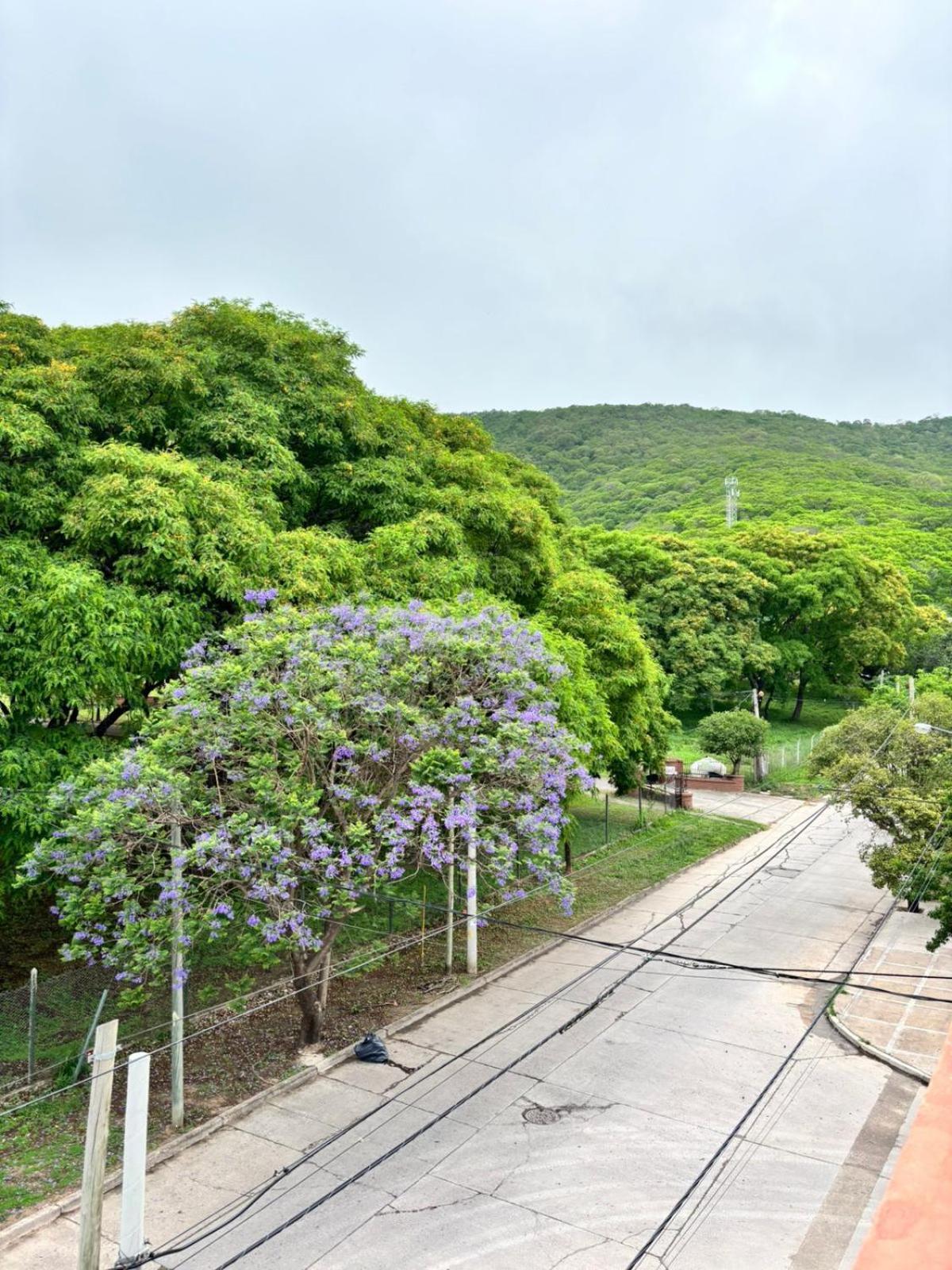 Guest House 살타 외부 사진
